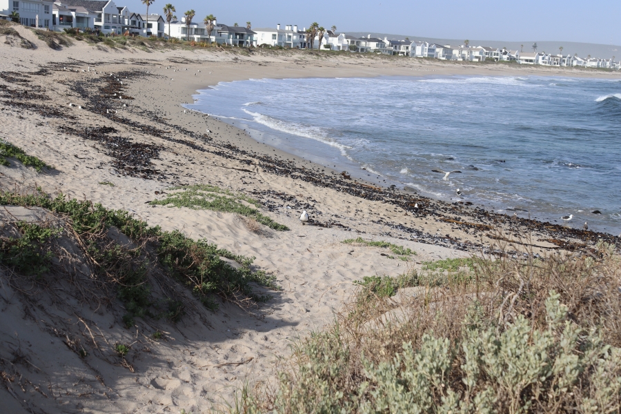 0 Bedroom Property for Sale in Shelley Point Western Cape